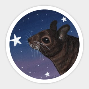 Degu Looking at the Stars Sticker